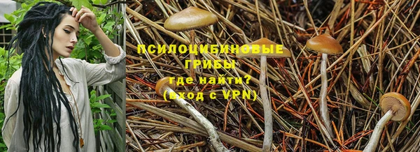 ПСИЛОЦИБИНОВЫЕ ГРИБЫ Майский