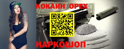 apvp Камышлов
