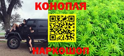 apvp Камышлов