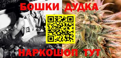 apvp Камышлов