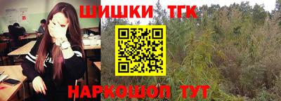 apvp Камышлов