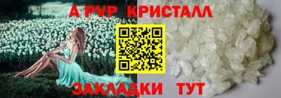 apvp Камышлов