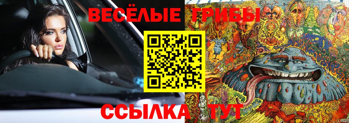 Смоленск  Псилоцибиновые грибы мицелий  Галлюциногенные грибы Psilocybe  Вход с VPN 